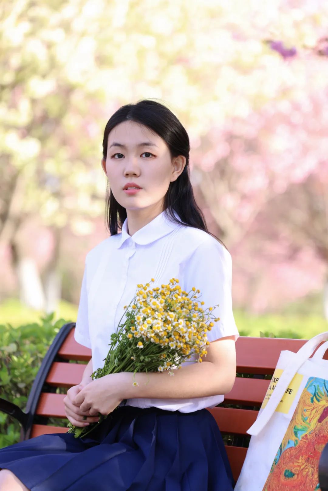 今年你在西电赏樱了吗