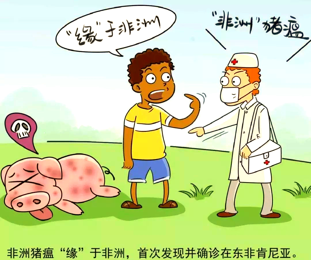 非洲猪瘟的起源,传播及在中国的爆发分析