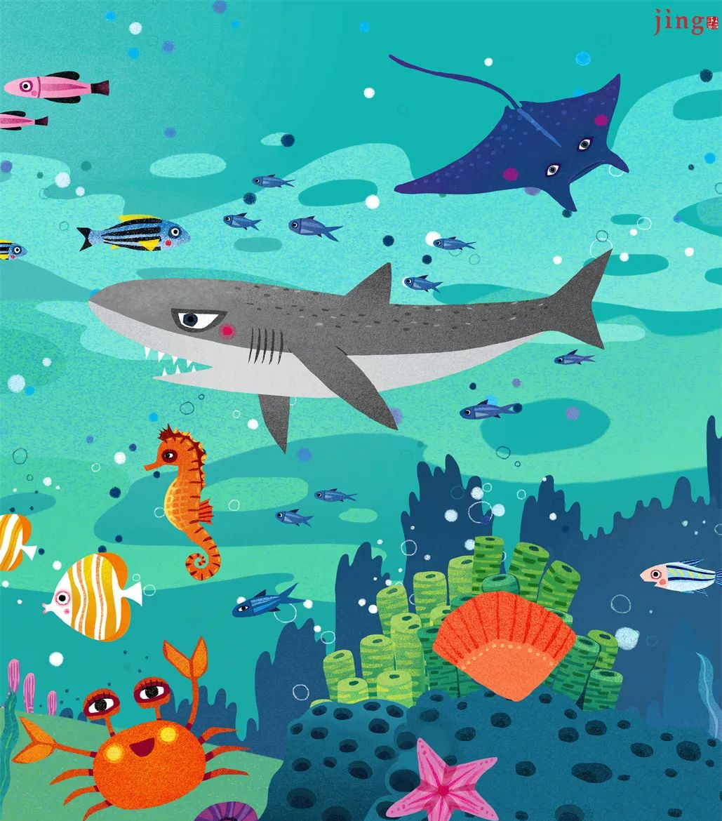 海洋动物海洋鱼类拼图插画,多样生物共绘海底世界