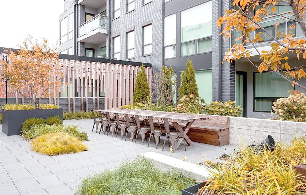 在屋顶绿化的领域中,存在着多种类型的花园设计