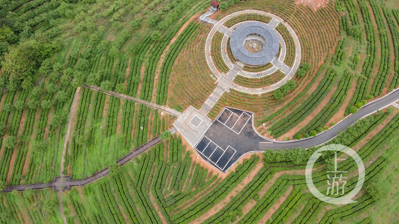 重庆秀山:农旅融合促发展 茶韵飘香助振兴