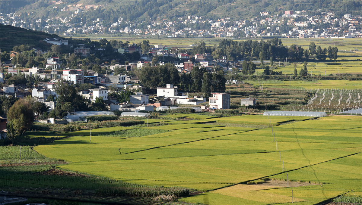 抓好六件事 为民办事解难题⑥丨着力提高基层党组织的组织力