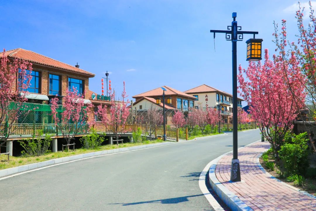 走进长春!100个网红打卡地之马鞍山村