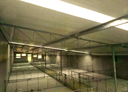 牧原猪舍的多代演变实图概览