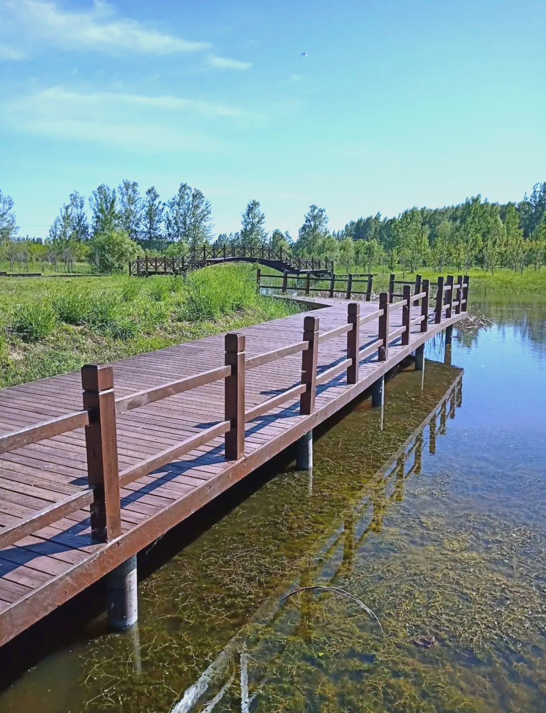 辽宁省盘锦市旅游探秘:众多值得一游的景点等你发现