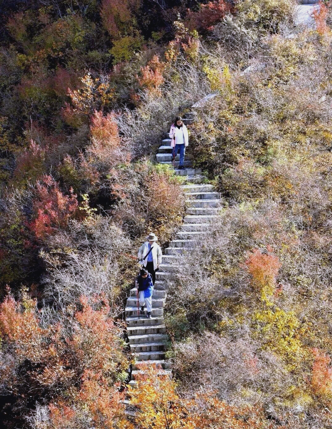 永靖抱龙山秋游指南:彩林与登高的完美结合