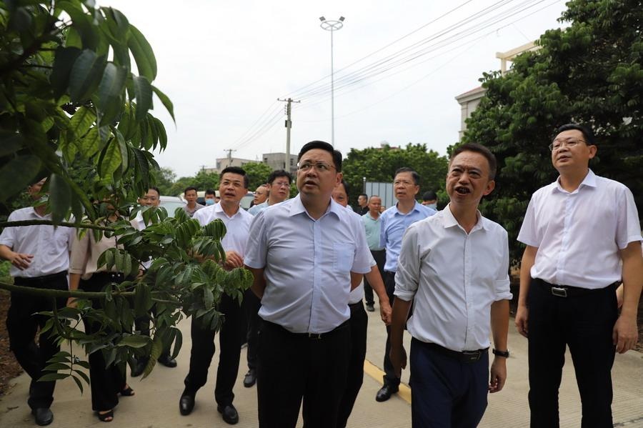 省代建局赴揭西县灰寨镇调研驻镇帮镇扶村工作