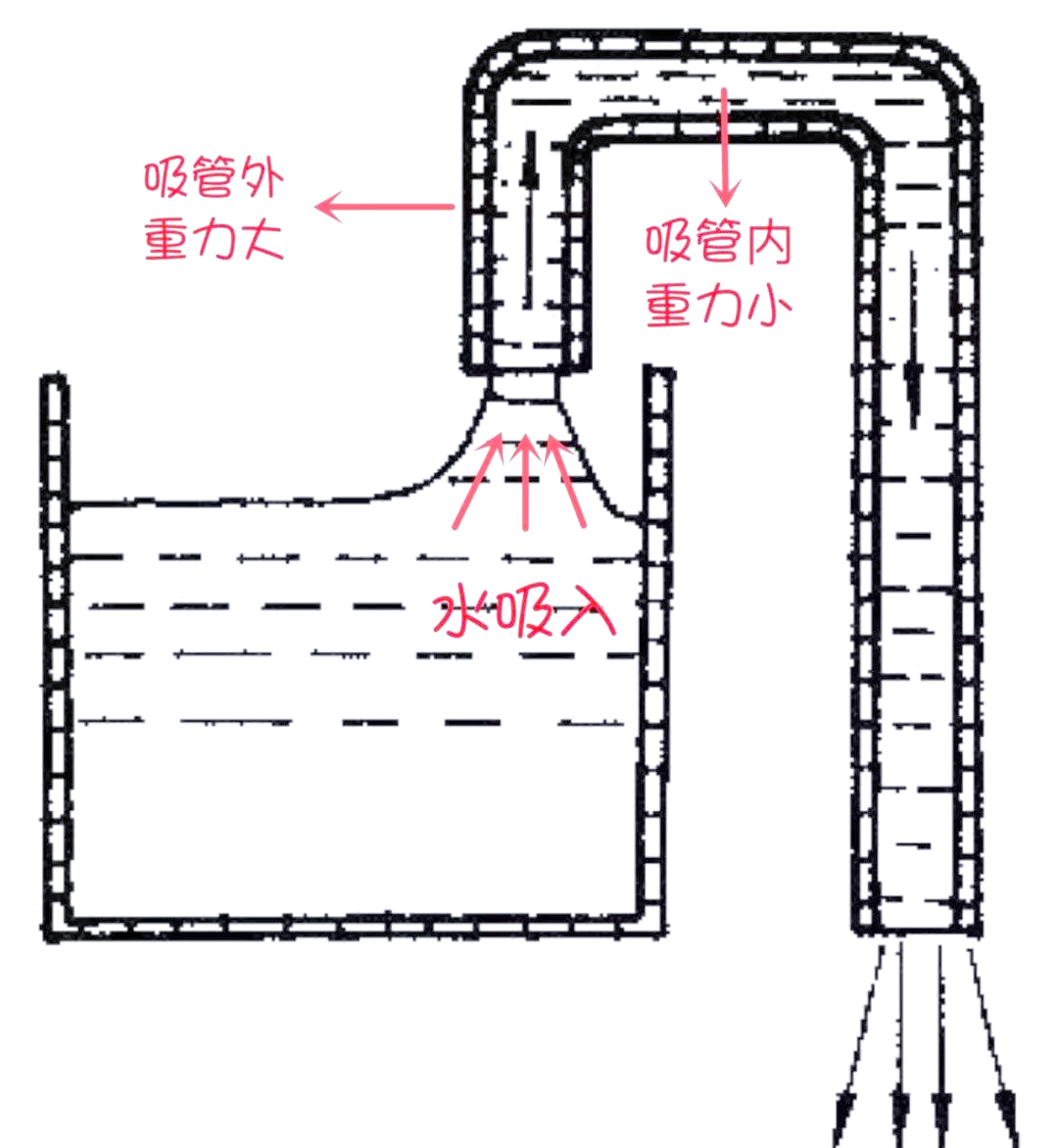 这是怎么回事呢?这其实是一种名为"虹吸现象"的物理原理在起作用