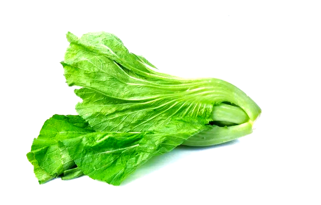 潮汕橄榄菜的独特魅力与传统工艺