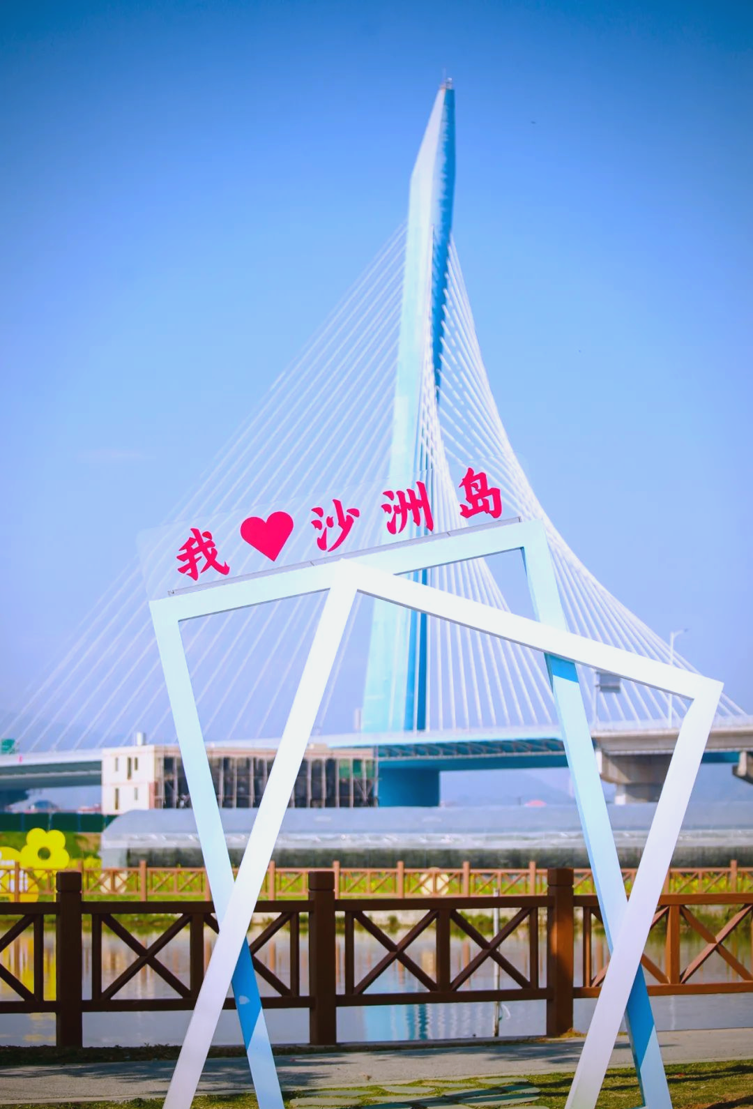 沙洲岛特大桥成网红打卡地,吸引众多游客探访