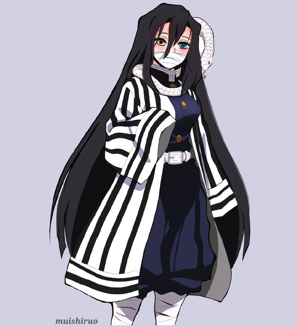 被画师改变性别的九柱,蛇柱长发及腰,蝴蝶忍和义勇配一脸