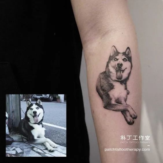 特二的哈士奇纹身图案