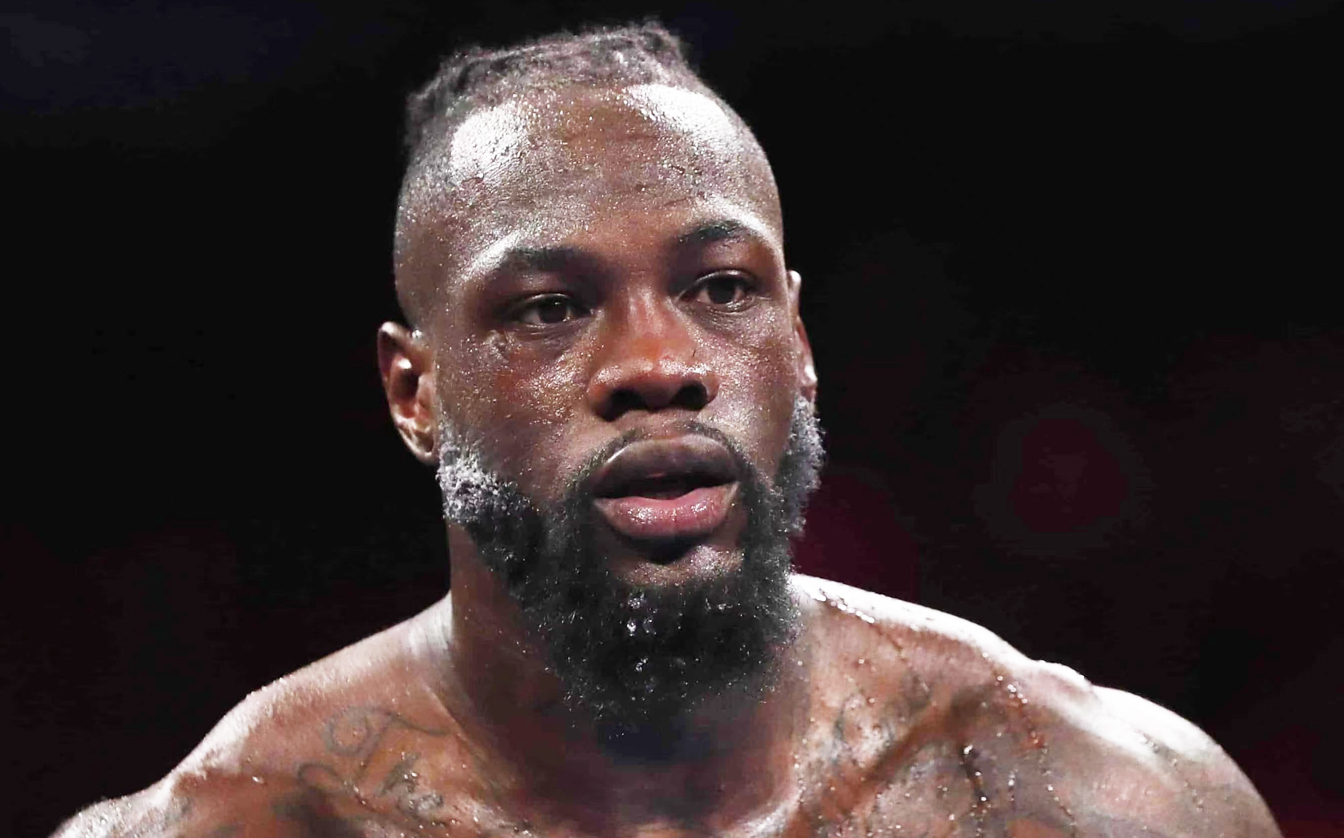 传奇拳王认为:约书亚会在维尔德面前中枪,除了肌肉,他非常害怕