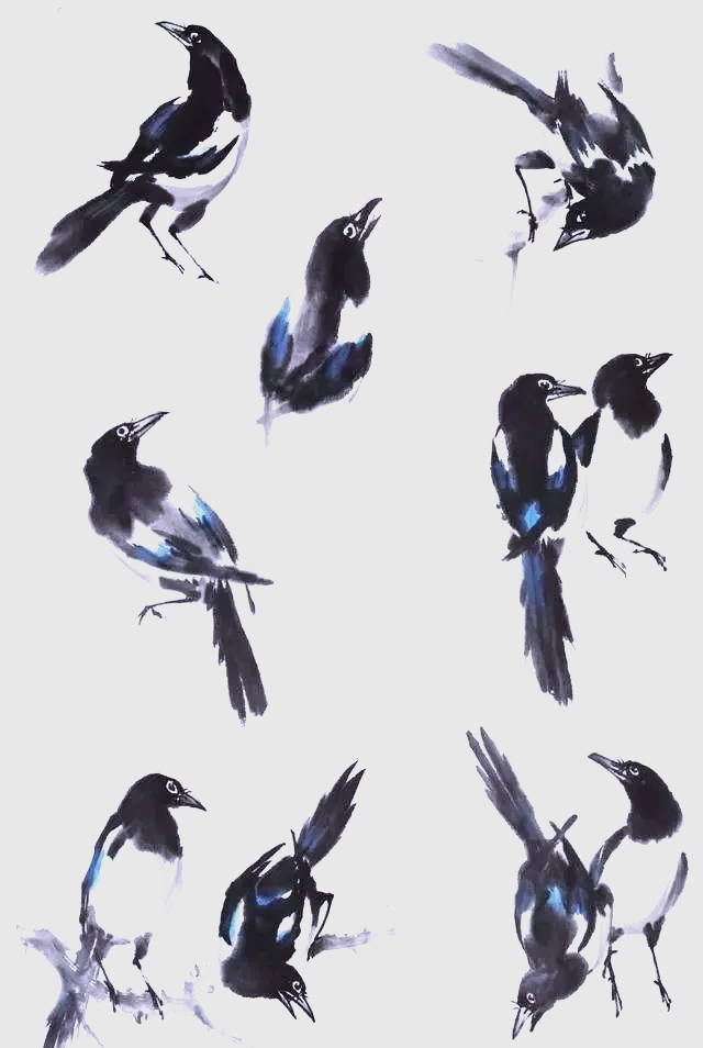 探索国画鸟的画法:从基础结构到动态表现