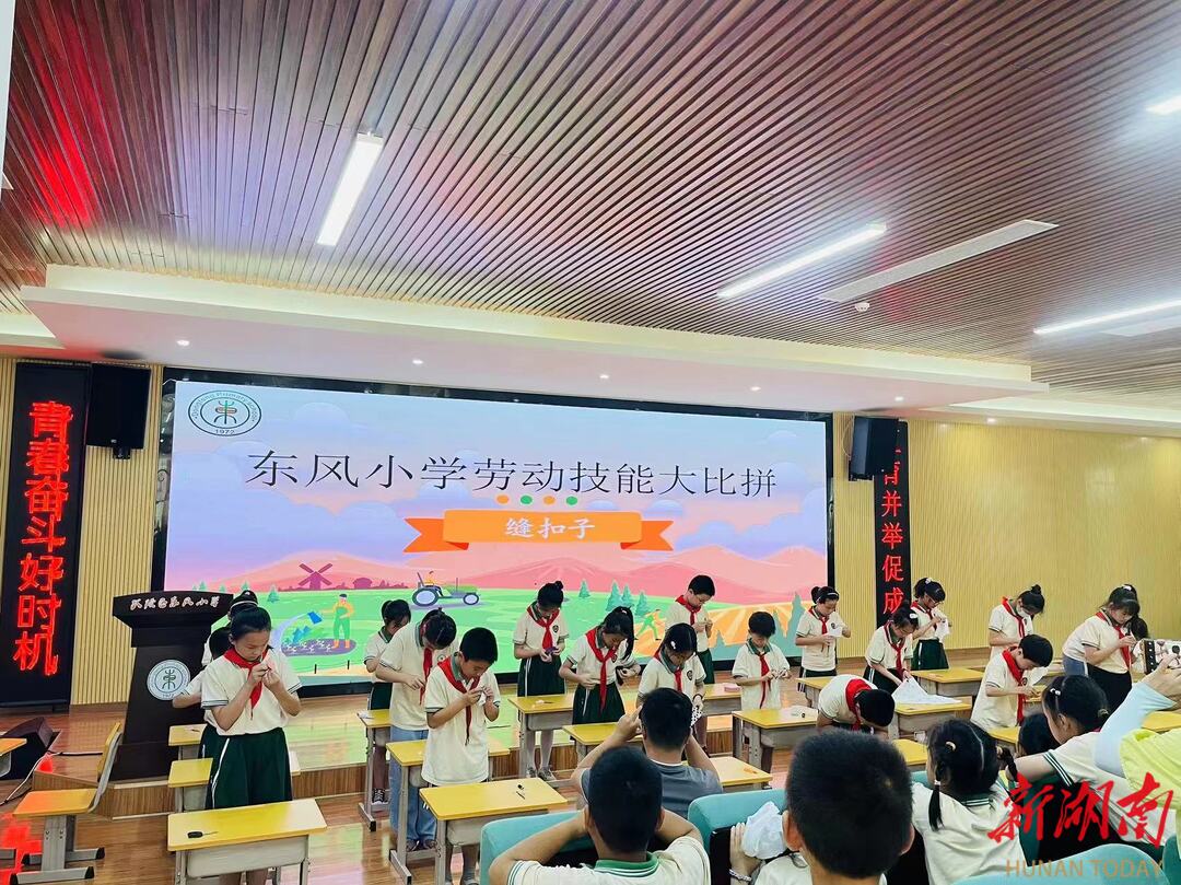 武陵区东风小学:劳动技能大比拼助力学校"五育并举"
