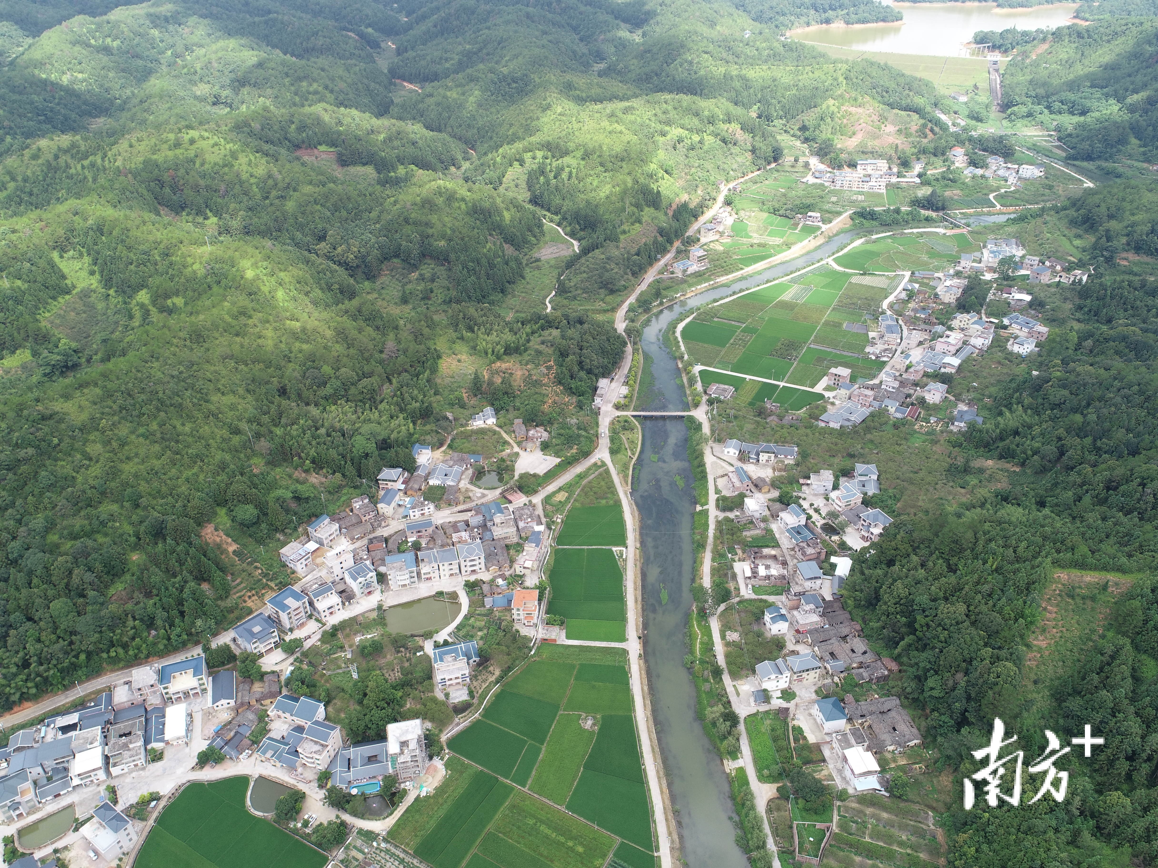 河头镇黄田村图片