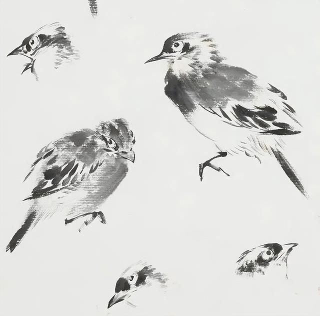 王雪涛的花鸟画教程图稿