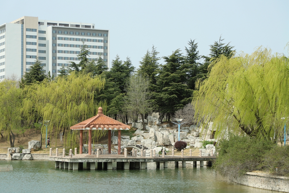 春天里的青岛农业大学