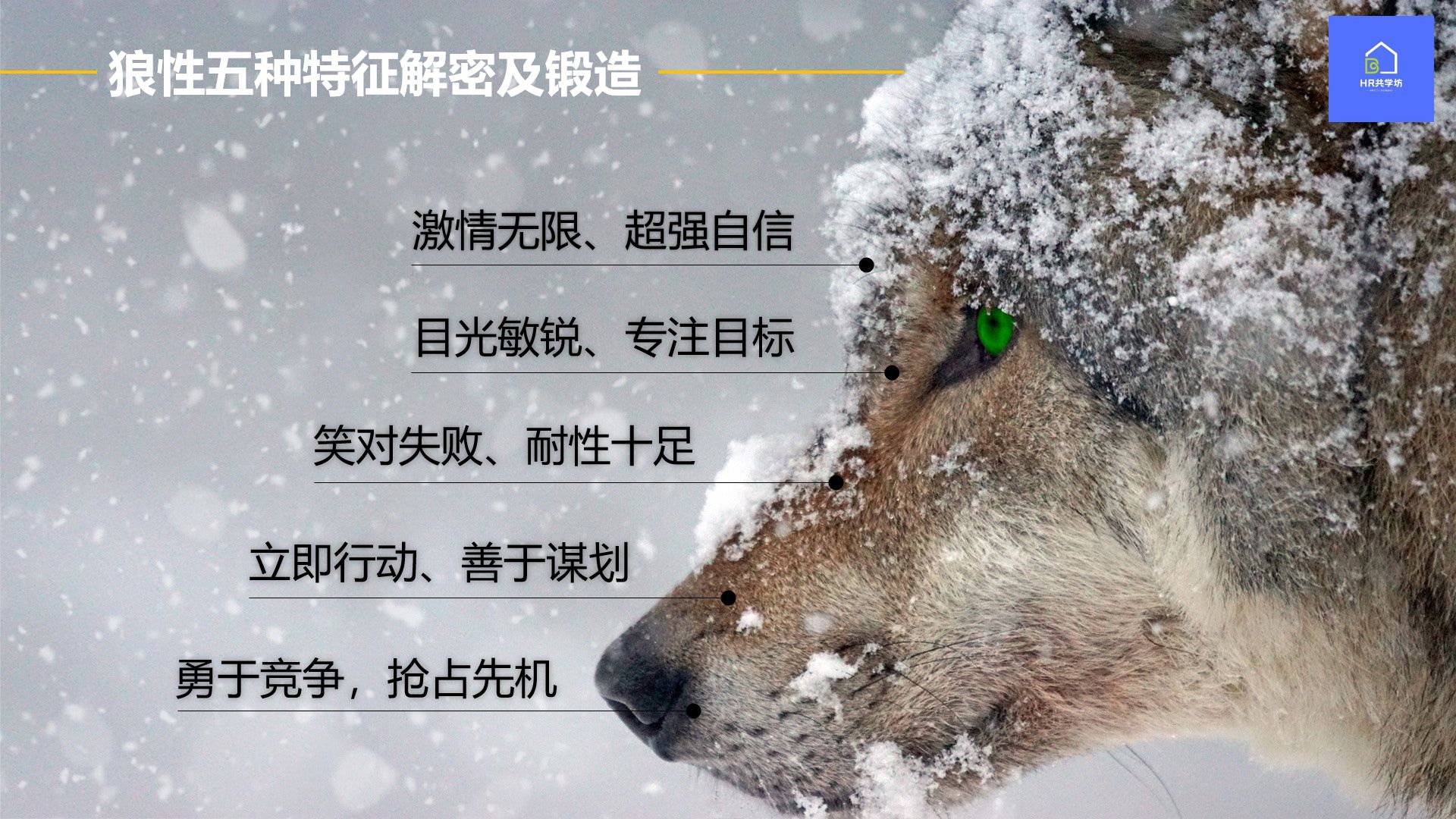 狼性精神与企业文化