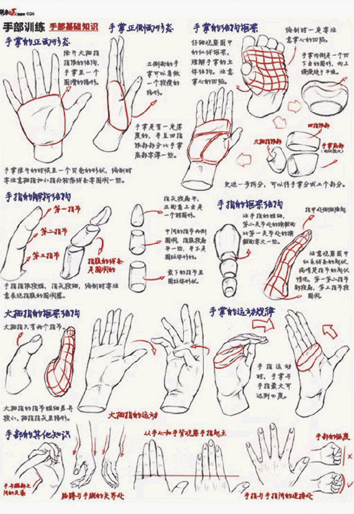 手部速写讲解图片