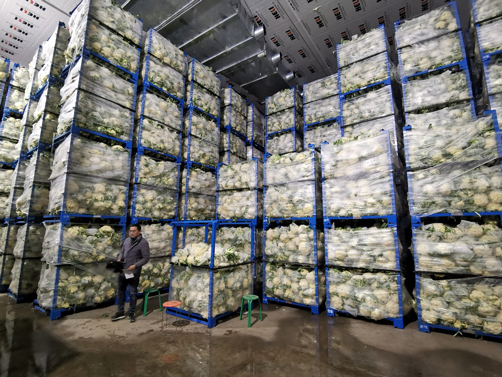 莘县农产品冷链仓储物流项目助力乡村振兴