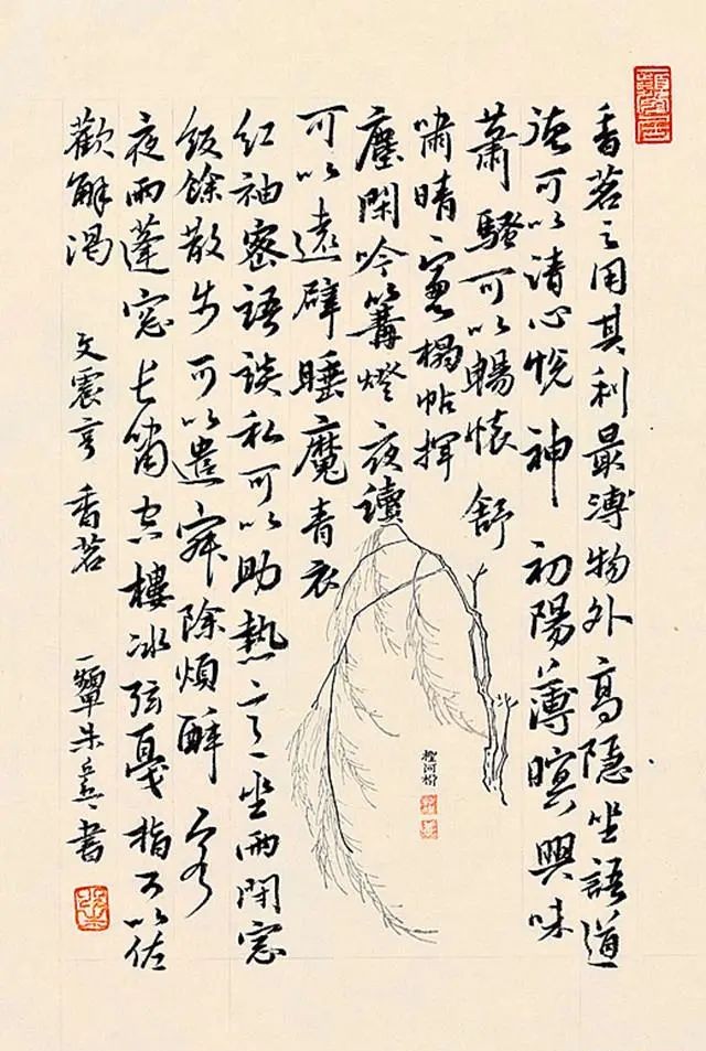 朱乒乓何以被赞"女神书法家"?书协大佬给出了答案,确实厉害