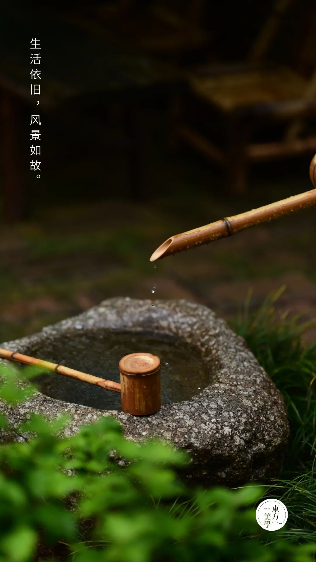 一日禅|生活依旧,风景如故