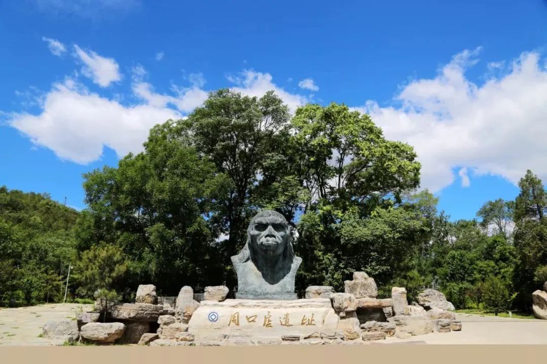 "甲子传承·看四色龙骨山" 跟着周口店北京人遗址博物馆探秘远古