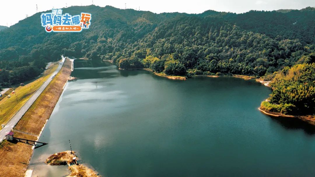 "靠着北山水库,"摸鱼"经营着自己的户外休闲基地的主理人河南小伙许满