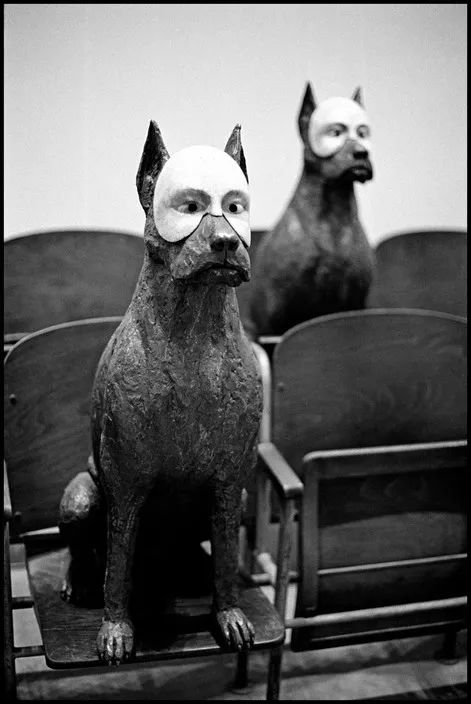 艾略特·厄威特 elliott erwitt