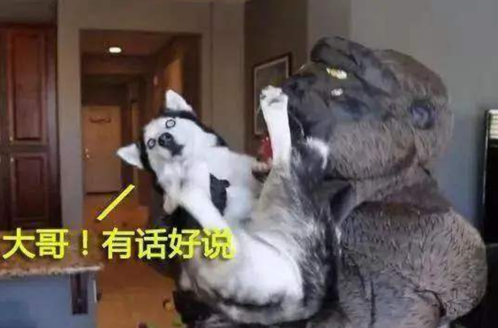 大哥别杀我图片 baijiahao.baidu.com