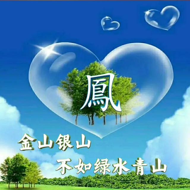 我心中的绿洲,金山银山不如绿水青山,姓氏头像