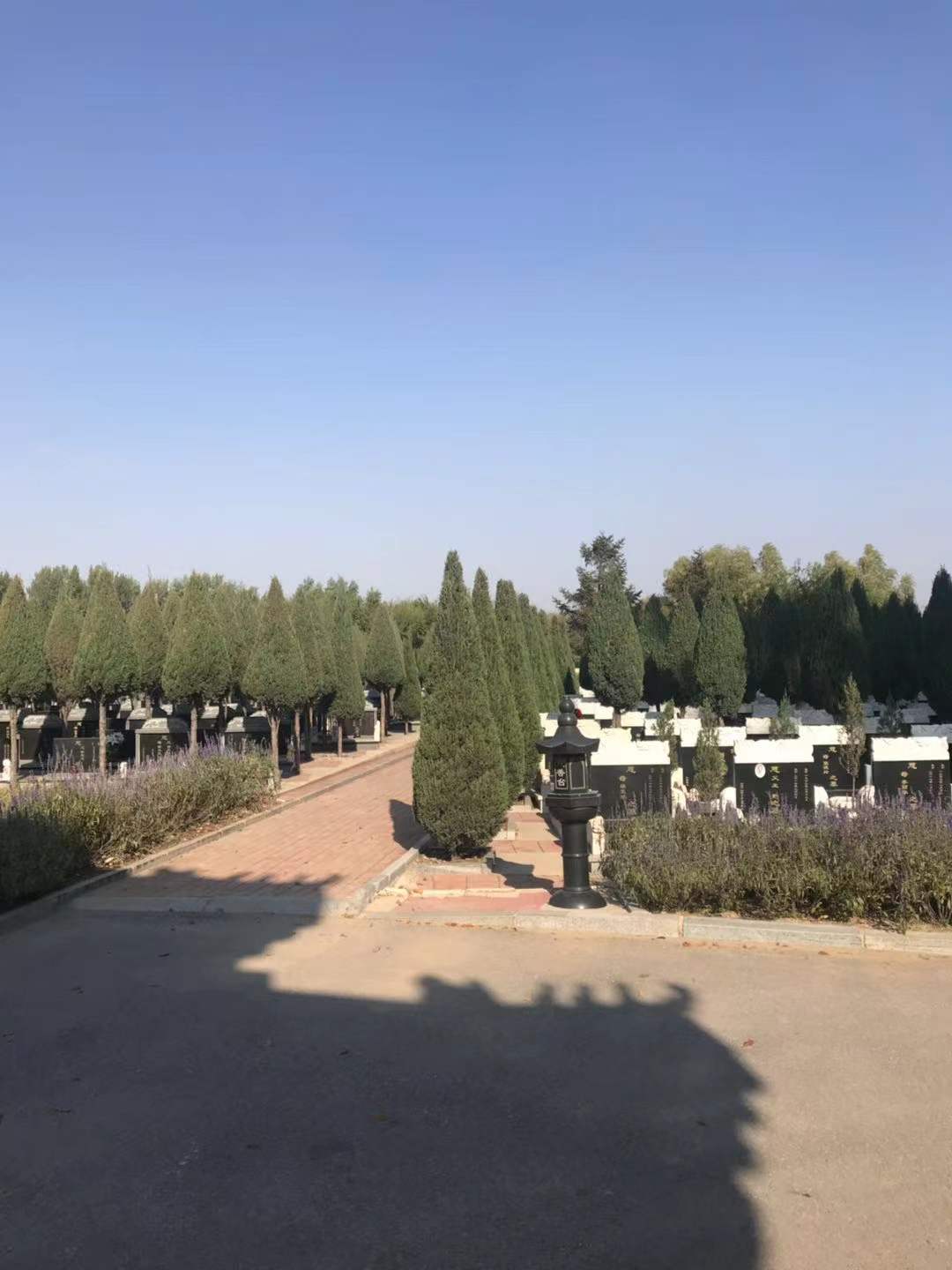 沈阳天山墓园图片