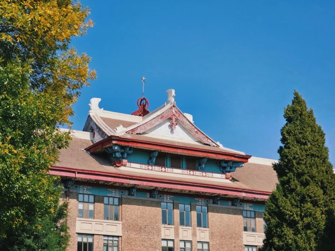 你眼中的天大,是什么形状?