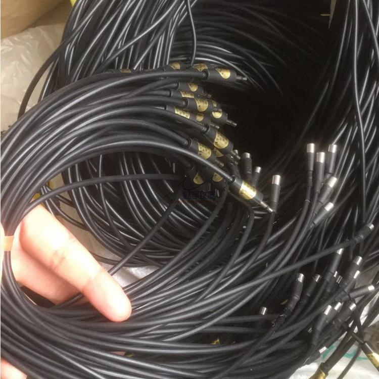 混凝土测温线 管内封装温度传感器 施工中可任意布点