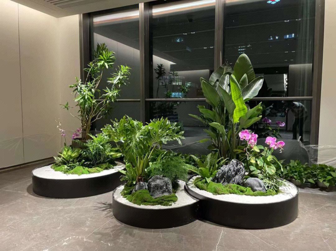 中山市平价的办公室绿植花卉租赁公司