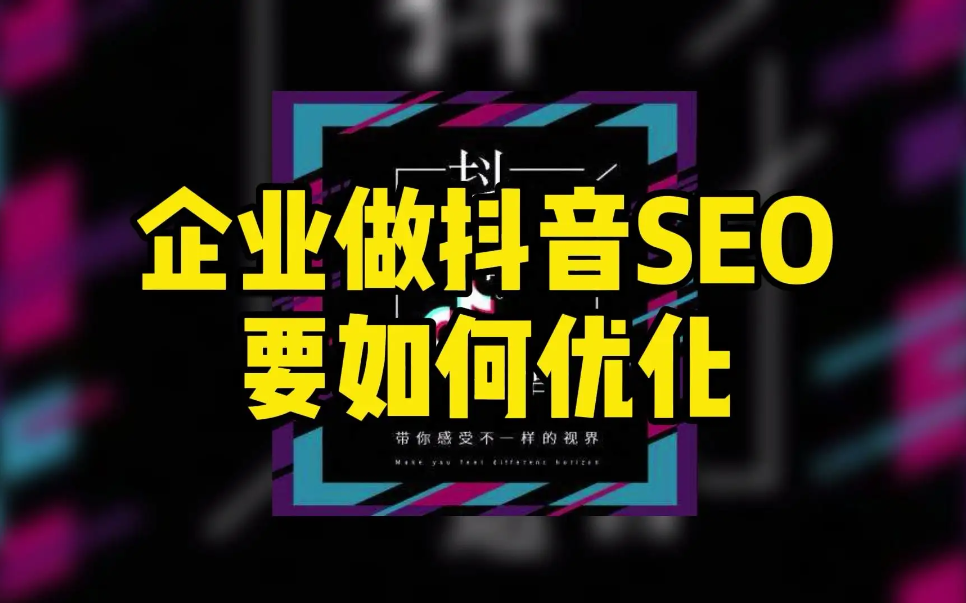 seo的视频_seo1短视频章节