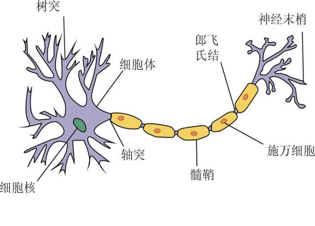 億嘉寧語言提升啟智腦磷脂群粉為何能深得眾家長喜愛和大力好評?