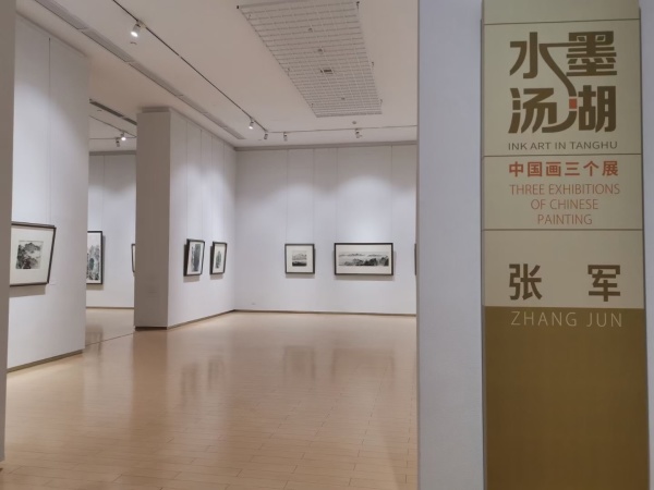 山水,花鸟,人物……到汤湖美术馆看名家水墨画展