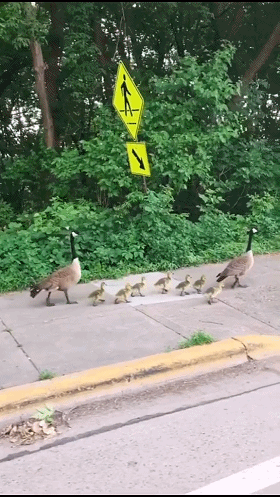 280_497竖版 竖屏gif 动态图 动图