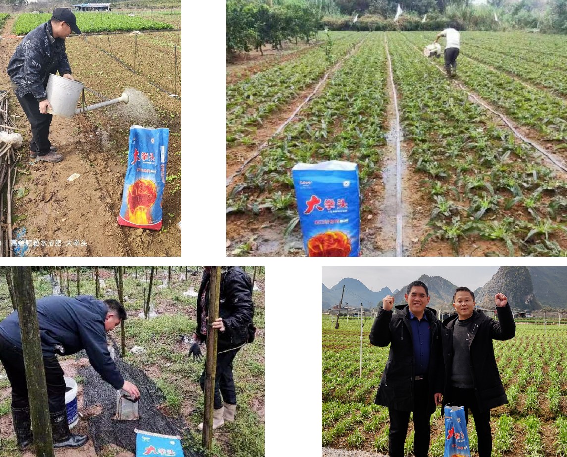 颗粒水溶肥大拳头畅销广西