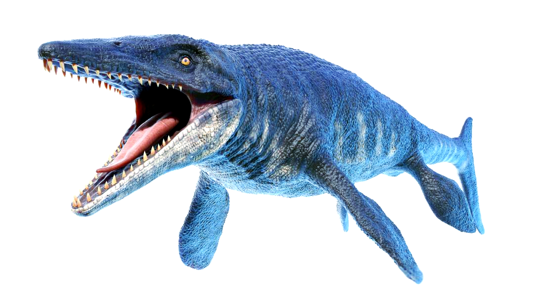 海王龙:与恐龙同期的海洋霸主,现已灭绝