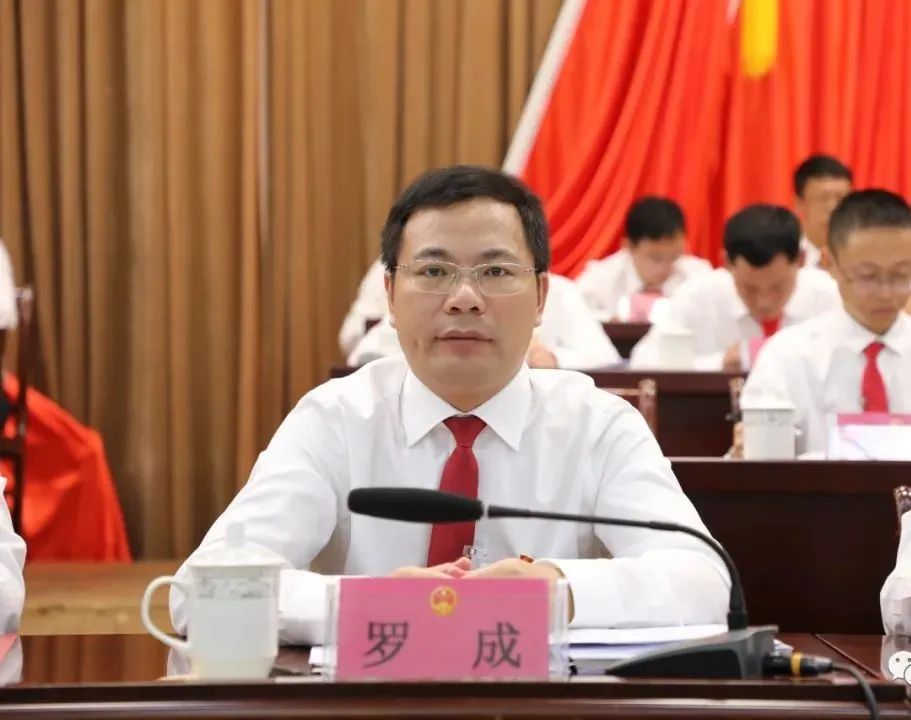 平果市委书记罗成出席会议