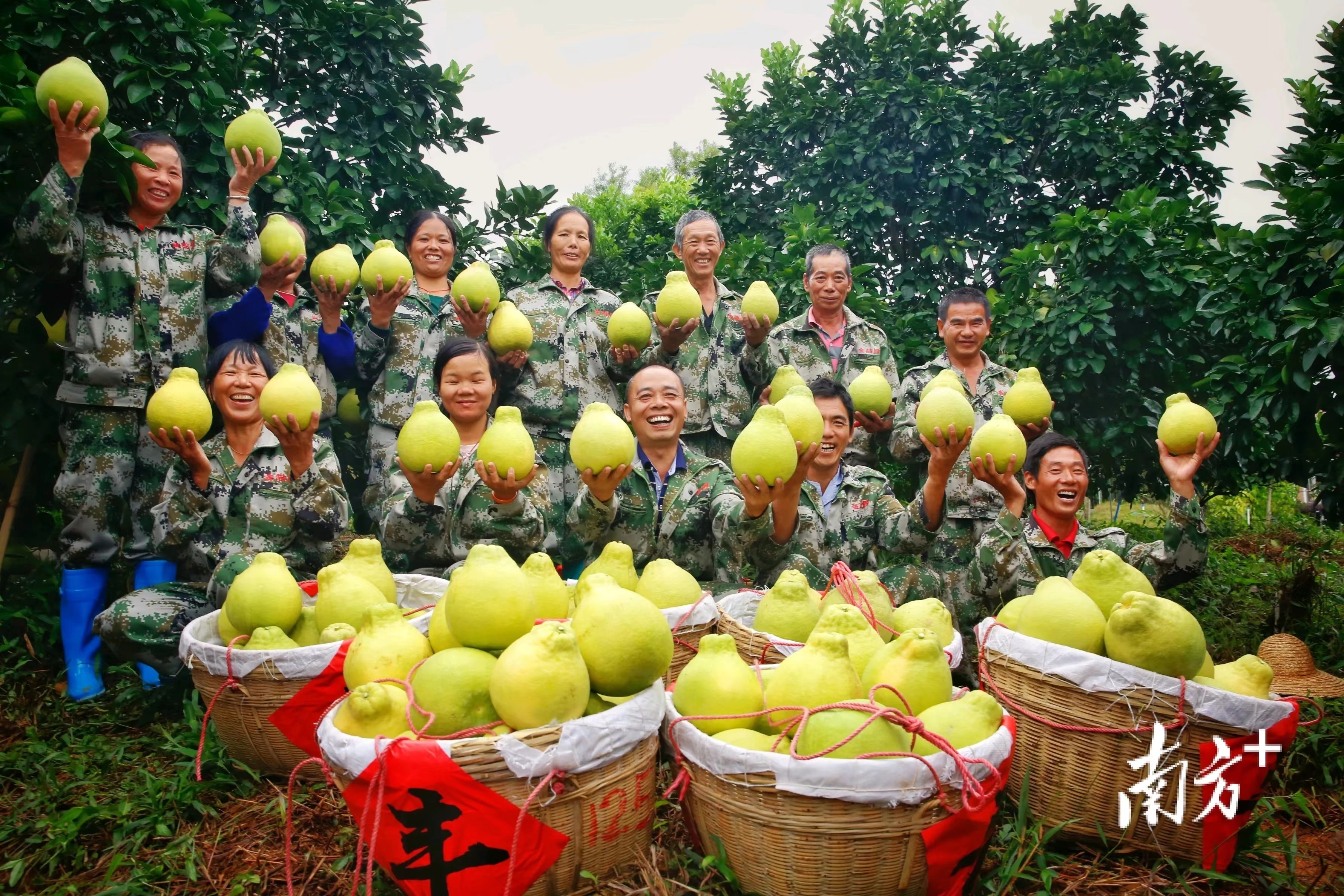 韶关文化旅游,大健康产业,现代农业有哪些投资机会?这里找答案