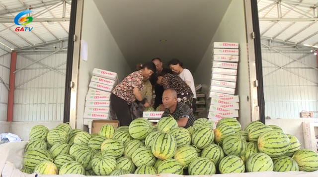 公安县埠河镇:特色产业敲开乡村振兴"甜蜜门"