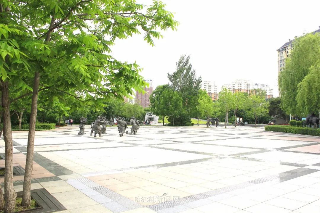 金河公园景色怡人,消夏好去处