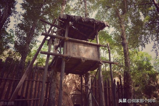 湘西匪首杨永清覆灭记:哪个投降我就砍哪个脑壳!表演最后疯狂