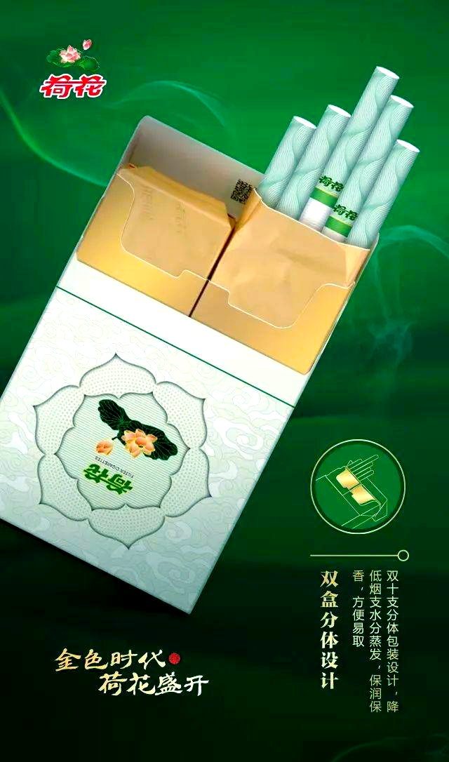 :味觉与艺术的完美交融,品质生活的尊贵象征