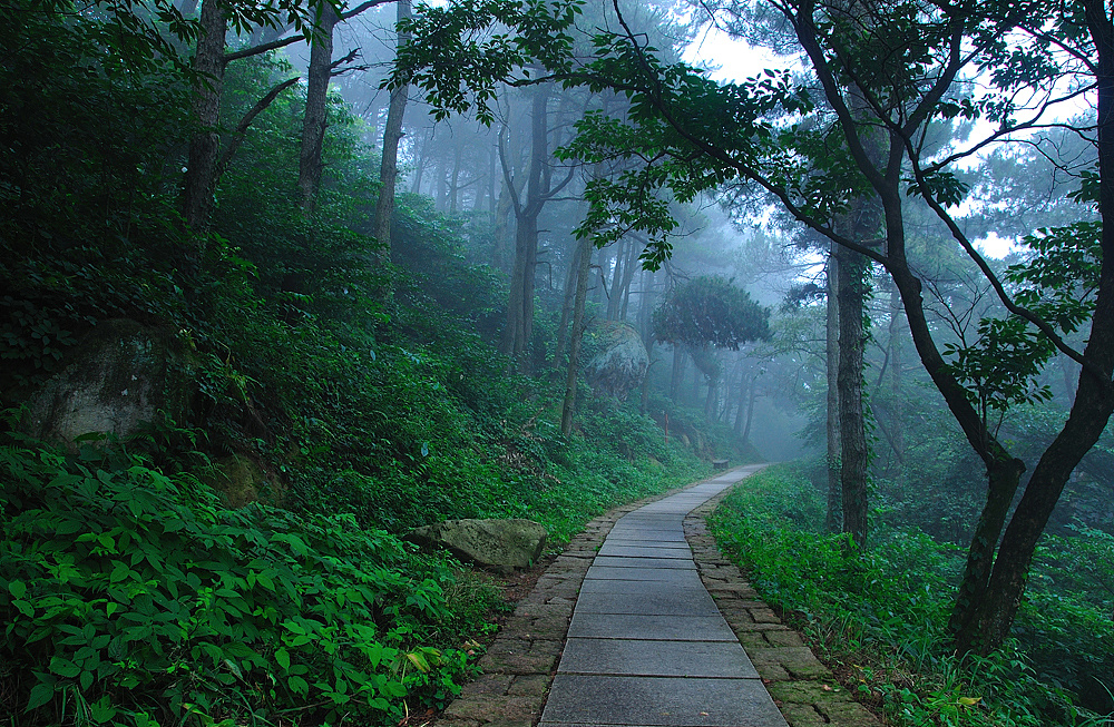 征战避暑胜地莫干山:征服自然壮丽,凝聚团队力量的探秘之旅