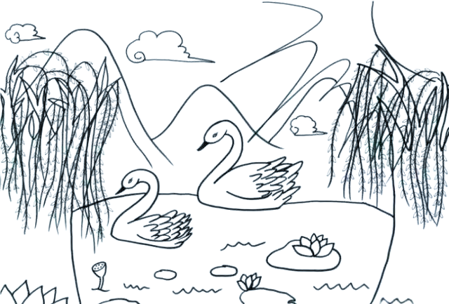 快速掌握天鹅简笔画,轻松搞定绘画技巧
